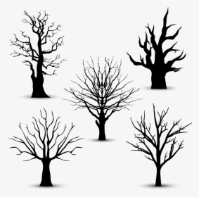Tree Silhouette Euclidean Vector - Leafless Tree Vector, HD Png Download, Transparent PNG