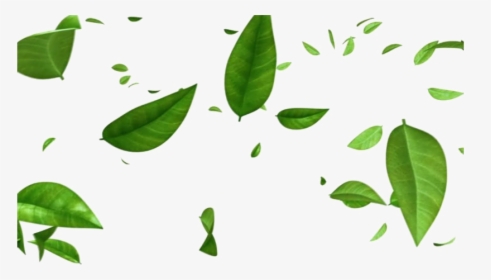 Green Leaves Png Free Image - Transparent Background Leaves Png, Png Download, Transparent PNG