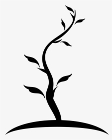 Tree Thin Shape Of Young Trunk With Few Leaves - Arbol Dibujo Y Tronco, HD Png Download, Transparent PNG