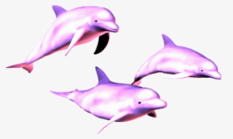Mq Pink Dolphin Dolphins Animal - Vaporwave Dolphin Png, Transparent Png, Transparent PNG
