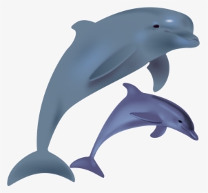 Free To Use Public Domain Dolphin Clip Art - Dolphin Clipart, HD Png Download, Transparent PNG