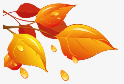 Transparent Autumn Leaves Png - Clip Transparent Autumn Leaves, Png Download, Transparent PNG