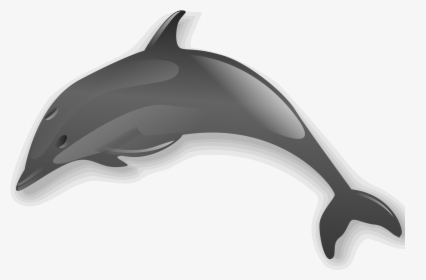 Transparent Dolphins Clipart - Dolphin Clip Art, HD Png Download, Transparent PNG