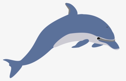 Dolphin Clip Art Pictures - Dolphin Clipart, HD Png Download, Transparent PNG