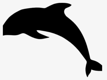 Dolphin Shadows, HD Png Download, Transparent PNG
