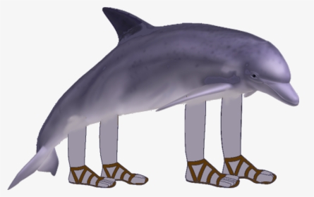 Clip Art Pet Dolphins - Dolphin With Arms And Legs, HD Png Download, Transparent PNG