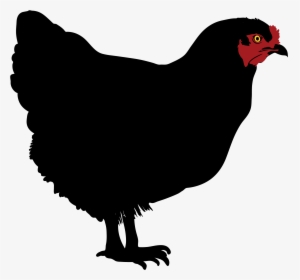 Filechicken Silhouette - My Brother's Peculiar Chicken Comics, HD Png Download, Transparent PNG