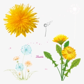 Dandelions - Dandelion Art Yellow, HD Png Download, Transparent PNG