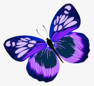 Clip Art Its Meaning And Many - Schmetterling Clipart Lila, HD Png Download, Transparent PNG