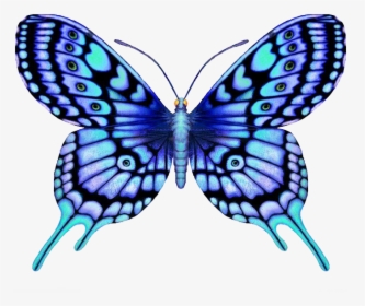 Clip Art Large Color Supernatural - Symmetrical Design Of Butterfly, HD Png Download, Transparent PNG