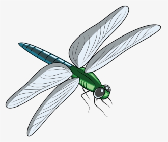 Free Download Creazilla - Dragon Fly Pond Clipart, HD Png Download, Transparent PNG