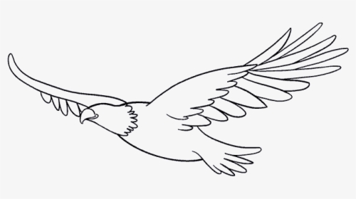 Draw A Eagle Easy, HD Png Download, Transparent PNG