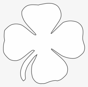 Clover Clipart Black And White - Four Leaf Clover White Transparent, HD Png Download, Transparent PNG