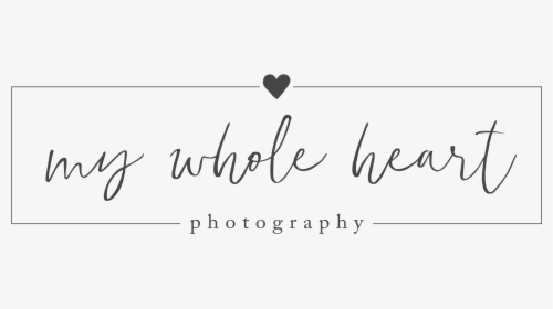 My Whole Heart Photography - Calligraphy, HD Png Download, Transparent PNG