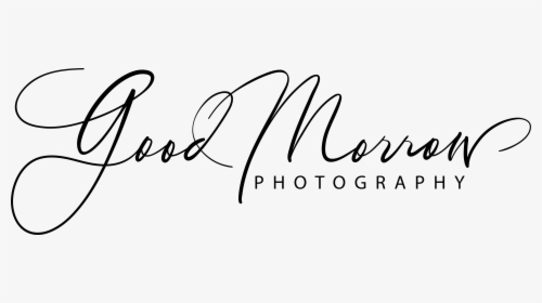 Good Morrow Photography - Calligraphy, HD Png Download, Transparent PNG