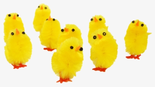 #ftestickers #easter #chicks #cute - Yellow Easter Chickens Png, Transparent Png, Transparent PNG
