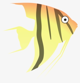Angel Fish Clip Png Images - Clipart Angelfish, Transparent Png, Transparent PNG