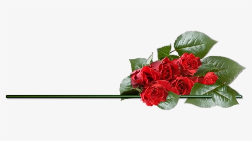 Clipart Rose Png Best - Valentines Day Rose Png, Transparent Png, Transparent PNG