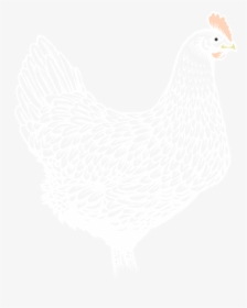 Image Of Chicken Rooster - Rooster, HD Png Download, Transparent PNG