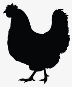 Simple Rooster Silhouette - Simple Chicken Black And White Clipart, HD Png Download, Transparent PNG