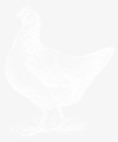 Chicken3 - Chicken, HD Png Download, Transparent PNG