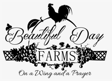 Beautiful Day Farms - Calligraphy, HD Png Download, Transparent PNG