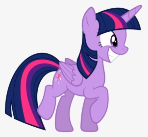 Twilight Sparkle My Little Pony Characters, HD Png Download, Transparent PNG