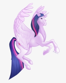 Mlp Realistic Twilight Alicorn, HD Png Download, Transparent PNG