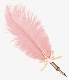 Pink Feather Png - Pink Feathers Png Free, Transparent Png, Transparent PNG