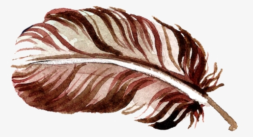 Chocolate Feather Transparent Free - Flower, HD Png Download, Transparent PNG