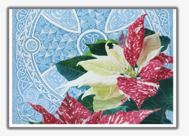 Good Tidings Of Great Joy Poinsettia Christmas Card - Anthurium, HD Png Download, Transparent PNG