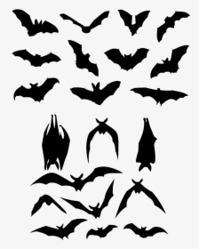 Bat Flight Silhouette Logo - Bats Silhouette Clip Art, HD Png Download, Transparent PNG