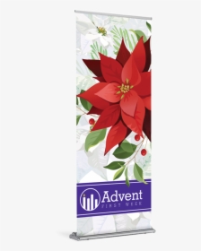 Tap To Expand - Poinsettia, HD Png Download, Transparent PNG