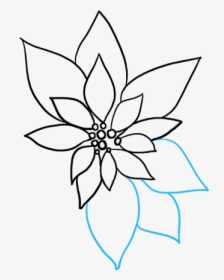 How To Draw Poinsettia - Line Art, HD Png Download, Transparent PNG