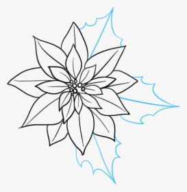 How To Draw Poinsettia - Poinsettia Drawing, HD Png Download, Transparent PNG