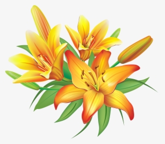 Lily Yellow Lilies Flowers Decoration Clipart Image - Lilies Clipart, HD Png Download, Transparent PNG