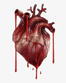 Bleeding Heart Transparent Background, HD Png Download, Transparent PNG