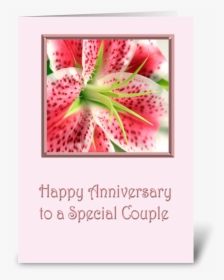 Anniversary Stargazer Lily Greeting Card - Happy Anniversary Stargazer Lilies, HD Png Download, Transparent PNG