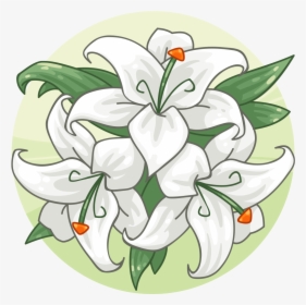 Lily Family, HD Png Download, Transparent PNG