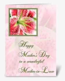 Mother In Law, Stargazer Lily Greeting Card - Happy Anniversary Stargazer Lilies, HD Png Download, Transparent PNG