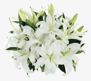 Tight Bouquet Of Lilies - White Lily Flower, HD Png Download, Transparent PNG