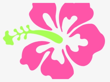 Cliparts Stargazer Lilly - Clipart Hibiscus Flower Png, Transparent Png, Transparent PNG