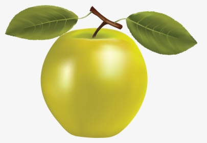Fruit Icon Realistic, HD Png Download, Transparent PNG