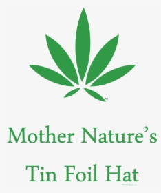 Transparent Tin Foil Hat Png - Military Rank, Png Download, Transparent PNG