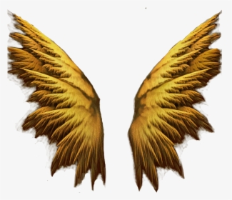 Transparent Gold Angel Wings Png - Background Angel Wings 3d, Png Download, Transparent PNG