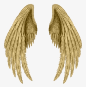 #golden #wings #freetoedit - Realistic Angel Wings Drawing, HD Png Download, Transparent PNG