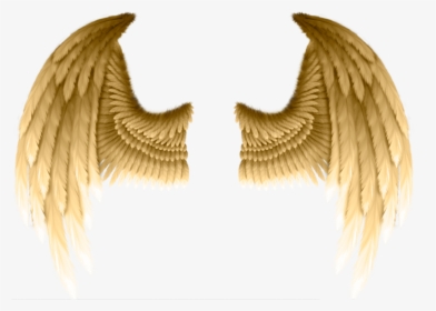 #golden #wings #freetoedit - Gold Angel Wings Png, Transparent Png, Transparent PNG