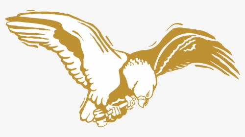 Eagle, Bird, Gold, Wings, Feathers - Golden Eagle Png Transparent Background, Png Download, Transparent PNG