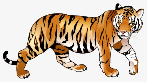 Animal Clipart Tiger Bengal - Transparent Background Tiger Clipart, HD Png Download, Transparent PNG