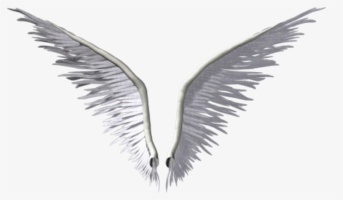 Wing Angel Clip Art - Transparent White Angel Wings Logo, HD Png Download, Transparent PNG